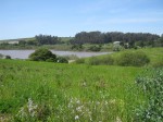 view of drainage swale from above