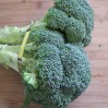 broccoliheads