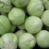 greencabbage
