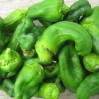 padron peppers