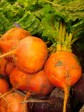 Golden Beets