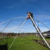 new greenhouse building with cat