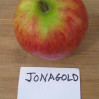 Apples-Jonagold
