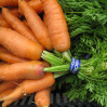 carrots