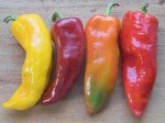 peppers