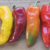 peppers