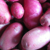 potatoes-romanze