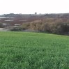 back hill with slough