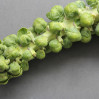 SFC_brusselssprouts_stalk