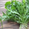 dandelion greens