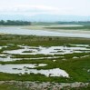 elkhorn slough