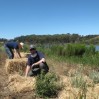 Restoration volunteer day 2015