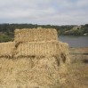 strawbales