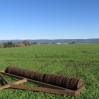 ring roller with cover crop