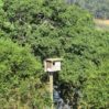 owl box 2016