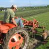 Allis Chalmers G 2